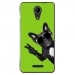 TPU0TOMMY2CHIENVVERT - Coque souple pour Wiko Tommy 2 avec impression Motifs chien à lunettes sur fond vert